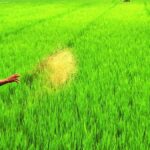 নদিয়ায় বিজেপির(bjp) ‘শুনো চাষি ভাই’ প্রচার