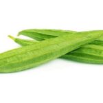 গরমে সুস্থ থাকার চাবিকাঠি ঝিঙে