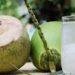 নারকেল জল খাওয়ার পর নারকেলের শাঁস ফেলে দেন, উপকার জানলে এই ভুলটি আর করবে না
