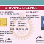 এবার বেসরকারি সংস্থাও ড্রাইভিং লাইসেন্স দিতে পারবে, আসছে নতুন আইন