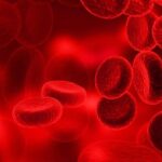 রক্তশূন্যতা হলে শরীর আগেই সতর্কবার্তা দেয়, লাল রঙের এই ৫টি জিনিস খাওয়া শুরু করুন