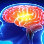 শুধু গলা ও ফুসফুসেই প্রভাব ফেলে না, মস্তিষ্ককেও এভাবে প্রভাবিত করে