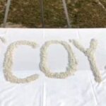 সাইকেলের টায়ারের মধ্যে লুকিয়ে রূপা পাচার অবশেষে ধরে ফেলল বিএসএফ