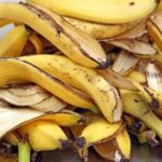 এবার থেকে রূপচর্চায় কাজে লাগান কলার খোসা, দাগ-ছোপ ও ব্রণের সমস্যা নিমেষেই দূর হবে!