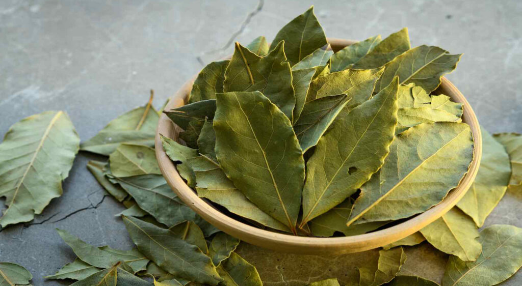 Benefits of bay leaves: তেজপাতা তো ব্যবহার করছেন, উপকারিতাগুলো কি জানা আছে?