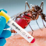 জলবাহিত রোগ: ডেঙ্গুর 8টি প্রাথমিক লক্ষণ এবং উপসর্গ আপনার উপেক্ষা করা উচিত নয়