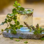 প্রতিদিন তুলসী জল পান করলে এই ৬ টি অনন্য উপকার পাবেন…আপনিও জেনে-নিন