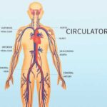 আপনি কী শরীরের সার্ভিসিং করেছেন? নয়ত সামনে বিপদ