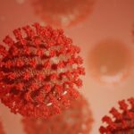 করোনার দ্বিতীয় ঢেউয়ে তিনটি উপসর্গ