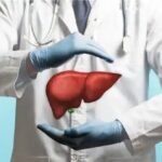 আপনার লিভার কে ভাল রাখতে এই কথাগুলি মেনে চলুন