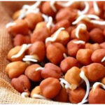 ভেজানো ছোলা খাওয়া আপনাকে এই ৫ টি অসাধারণ স্বাস্থ্য উপকারিতা