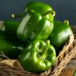 বেশি পরিমাণে ক্যাপসিকাম খেলে শরীরের মারাত্মক ক্ষতি হতে পারে, জেনে নিন বিস্তারিত