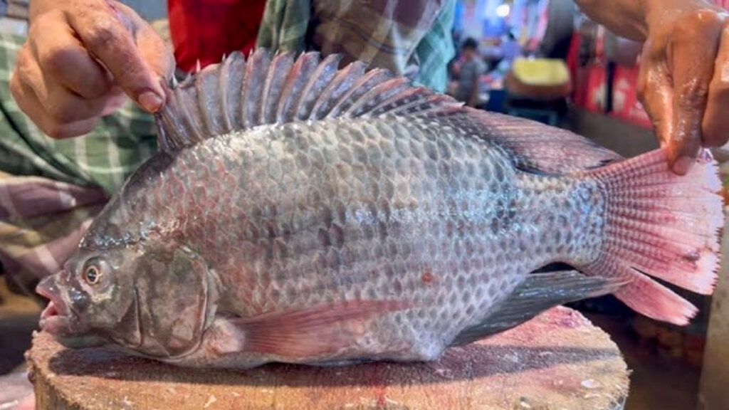 তেলাপিয়া খাওয়ার আগে সাবধান! মাছ খেয়ে কেটে ফেলতে হলো মহিলার হাত-পা