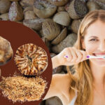 সুপারি ছাই দিয়ে কীভাবে দাঁত উজ্জ্বল করবেন? জেনে নিন এই দেশি টুথপেস্টের উপকারিতা