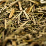 Benefits of chirata : কেন প্রতিদিন চিরাটা খাওয়া উচিত