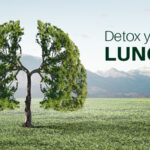 ফুসফুসের ময়লা পরিষ্কার করতে এই আয়ুর্বেদিক ভেষজগুলো খান, তাৎক্ষণিক উপকার পাবেন