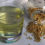 Coriander drinking water benefits: সকালে খালি পেটে ধনেপাতা খাওয়ার অনেক উপকারিতা রয়েছে, জেনে নিন বিস্তারিত