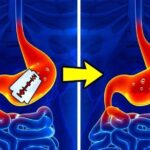 মানুষের পেটে এই আছে ‘বিপজ্জনক’ অ্যাসিড, যাতে লোহা পর্যন্ত গোলে যেতে পারে