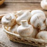 Mushroom health benefits : মাশরুম পুষ্টির ভাণ্ডার, জেনে নিন এটি খাওয়ার উপকারিতা