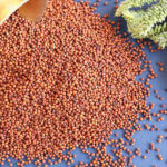 Supercharge your weight loss journey with ragi: প্রতিদিনের ডায়েটে এই পুষ্টিকর শস্য অন্তর্ভুক্ত করার ৫ টি কারণ