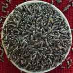 কালো গমের ব্যবহার এই ৫ টি অসাধারণ স্বাস্থ্য উপকারিতা দেয়, এটি আপনার ডায়েটে অন্তর্ভুক্ত করুন