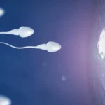 পুরুষদের শুক্রাণুর স্বাস্থ্যের উন্নতি করতে খাবারের তালিকায় রাখুন বাদাম এবং রসুনের বীজ, অ্যান্টিঅক্সিডেন্ট-সমৃদ্ধ খাবার