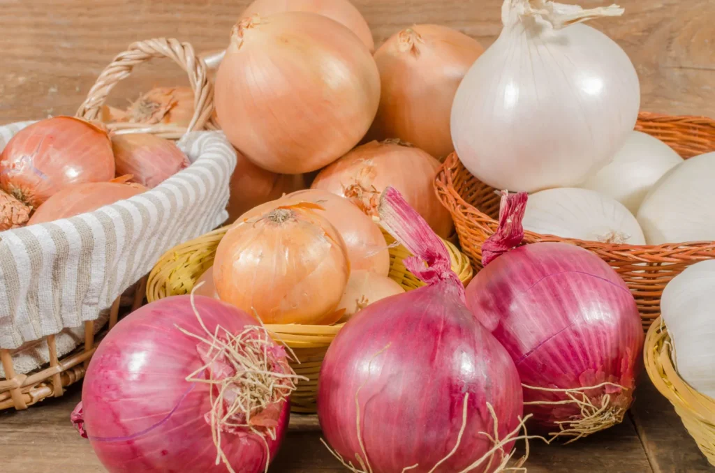 Onion benefits: পেঁয়াজ খাওয়া গরমে আশীর্বাদের মতো, পাবেন সন্দেশের ৬টি উপকারিতা