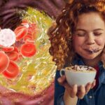 উচ্চ কোলেস্টেরলের মাত্রা কমাতে ৭ টি সেরা সবজি