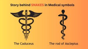 মেডিকেল সিম্বল ও সাপের মধ্যে কি সম্পর্ক, কেন লাঠির চারপাশে দুটি সাপ জড়িয়ে থাকে?