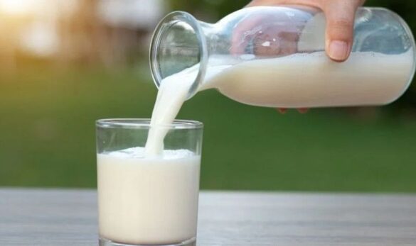 How many calories are in a glass of milk to know the right way to consume it