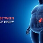 কিডনিতে পাথর এবং স্থূলতার মধ্যে সম্পর্ক কী, জানুন বিস্তারিত