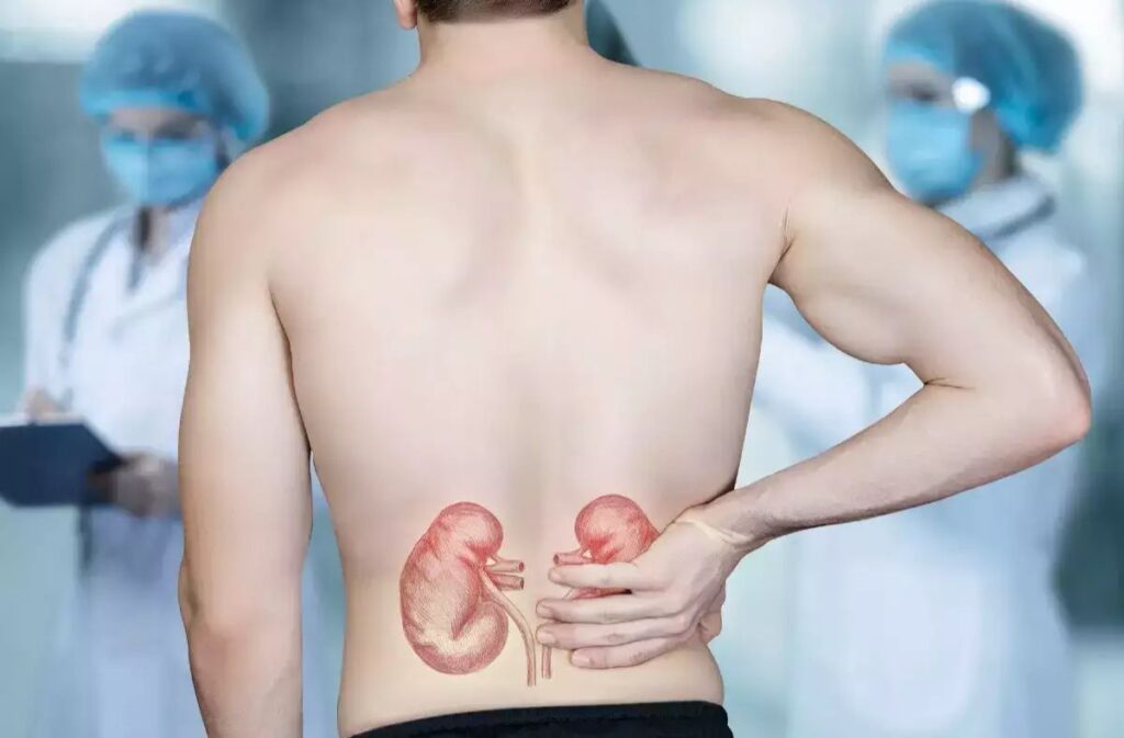 কিডনি সুস্থ রাখতে ৭ টি স্বাস্থ্যকর অভ্যাস, জানুন বিশেষজ্ঞদের কাছে