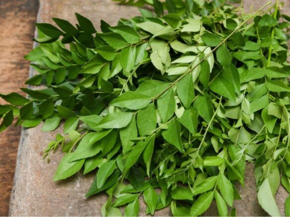 Know miraculous health benefits of Curry leaves