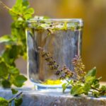 স্ট্রেস এবং হার্টের সমস্যা থেকে মুক্তি পেতে প্রতিদিন সকালে পান করুন বিশেষভাবে তৈরি তুলসী জল