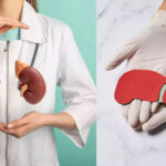 প্রতিদিন সকালের এই ৫ টি অভ্যাস দিয়ে আপনার কিডনি, লিভার ডিটক্স করুন