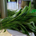 অ্যানিমিয়া থেকে মুক্তি দেবে কুলেখাড়া, রোজ খেলে পেটের সমস্যা যাবে চলে