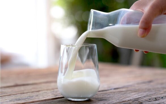 No medicine should be taken with milk is answered here