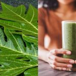 পেঁপে পাতার রস স্বাস্থ্যের জন্য ভীষণ উপকারী, জানেন এর সমস্ত স্বাস্থ্য গুনাগুণ