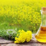 রান্নার জন্য সরিষার তেল ব্যবহার করা ভালো না খারাপ, আসুন যেনে নেওয়া যাক বিশেষজ্ঞদের কাছে