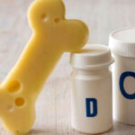 Calcium vs. Vitamin d: হাড়ের স্বাস্থ্যের জন্য কোনটি বেশি গুরুত্বপূর্ণ? জেনে নিন বিস্তারিত