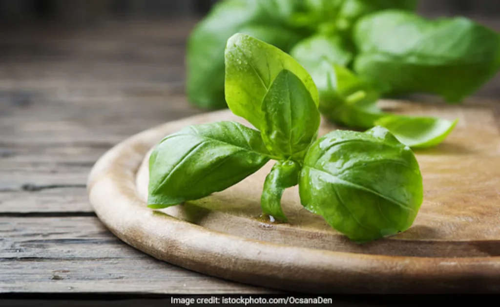 প্রতিদিন সকালে খালি পেটে তুলসী পাতার রস পান করার ৫টি স্বাস্থ্য উপকারিতা এখানে দেওয়া হল।