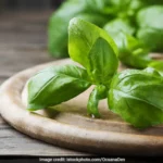 প্রতিদিন সকালে খালি পেটে তুলসী পাতার রস পান করার ৫টি স্বাস্থ্য উপকারিতা এখানে দেওয়া হল।