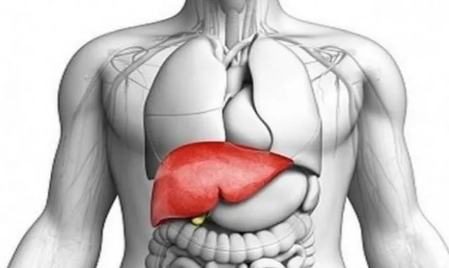 10 foods you should avoid that are bad for your liver health