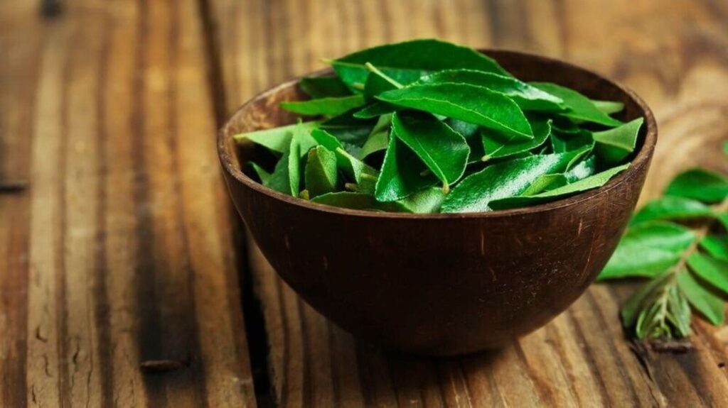 Benefits of curry leaves: প্রতিদিন সকালে কারি পাতা চিবানোর ৭টি উপকারিতা