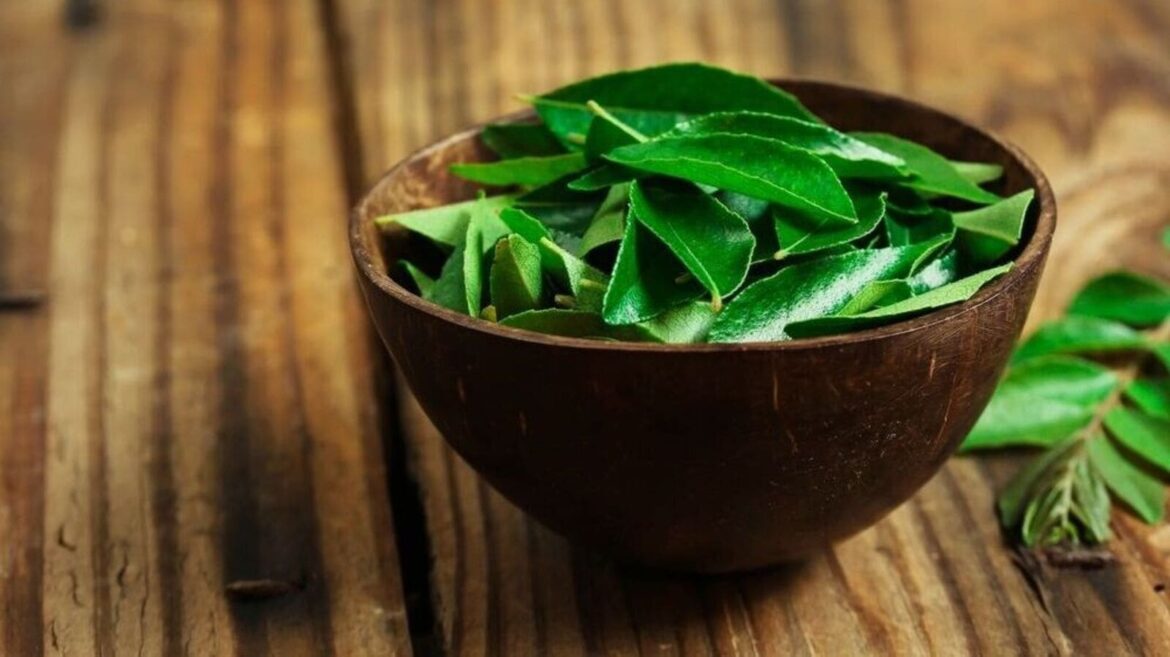 7 benefits of chewing curry leaves every morning