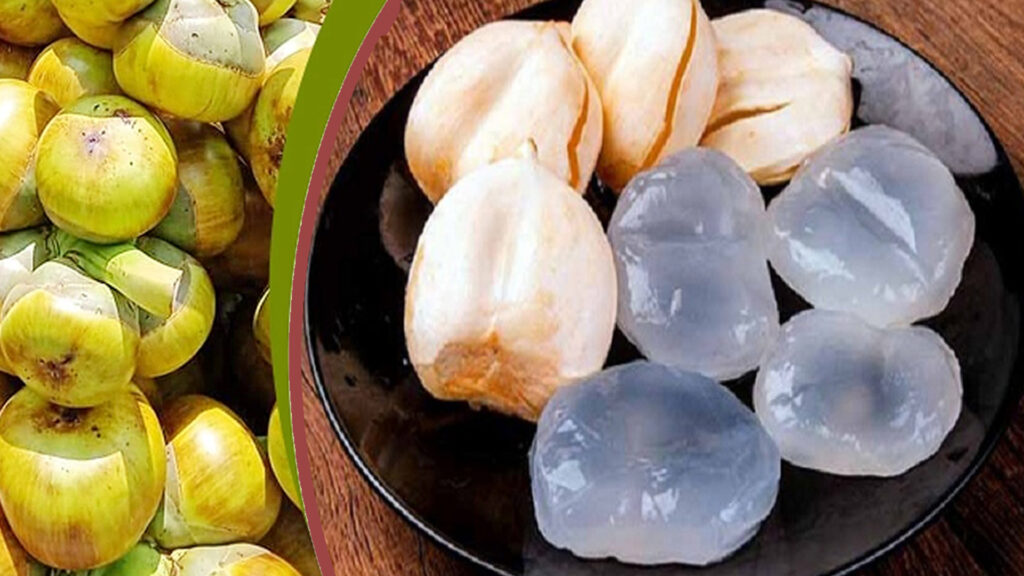 গ্রীষ্মকালে তালশাঁস শরীরের জলের চাহিদা পূরণ করতে পারে! এর আরও কি কি গুণাগুণ আছে জানুন