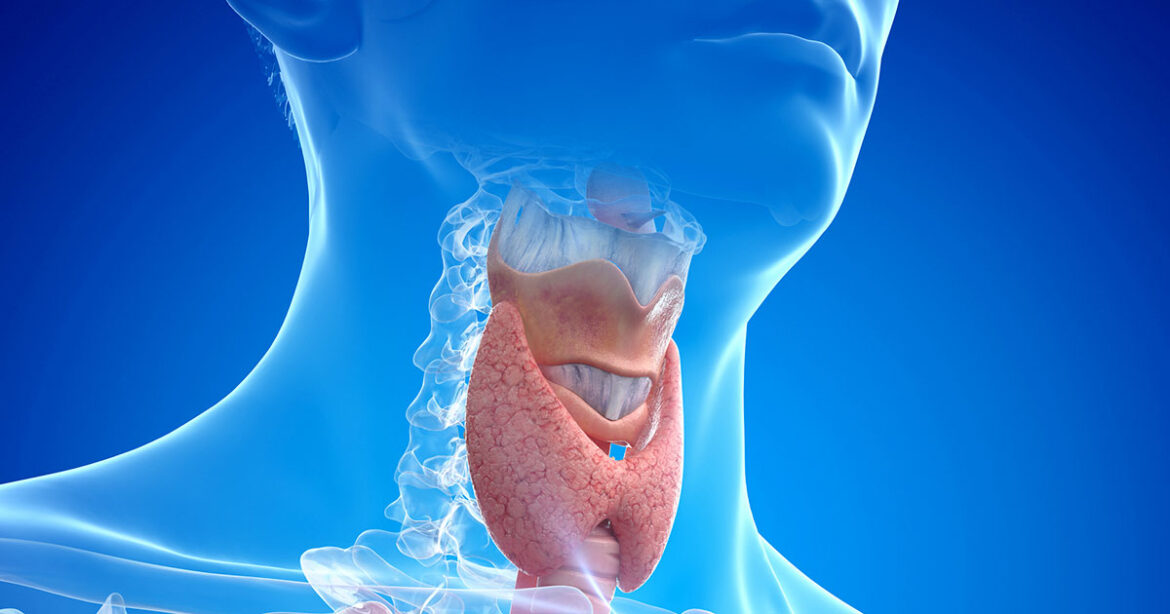 Know 6 indigenous super foods that can improve your thyroid health naturally