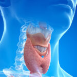 ৬টি দেশি সুপারফুড যা আপনার থাইরয়েড স্বাস্থ্যকে স্বাভাবিকভাবেই উন্নত করতে পারে, জানুন