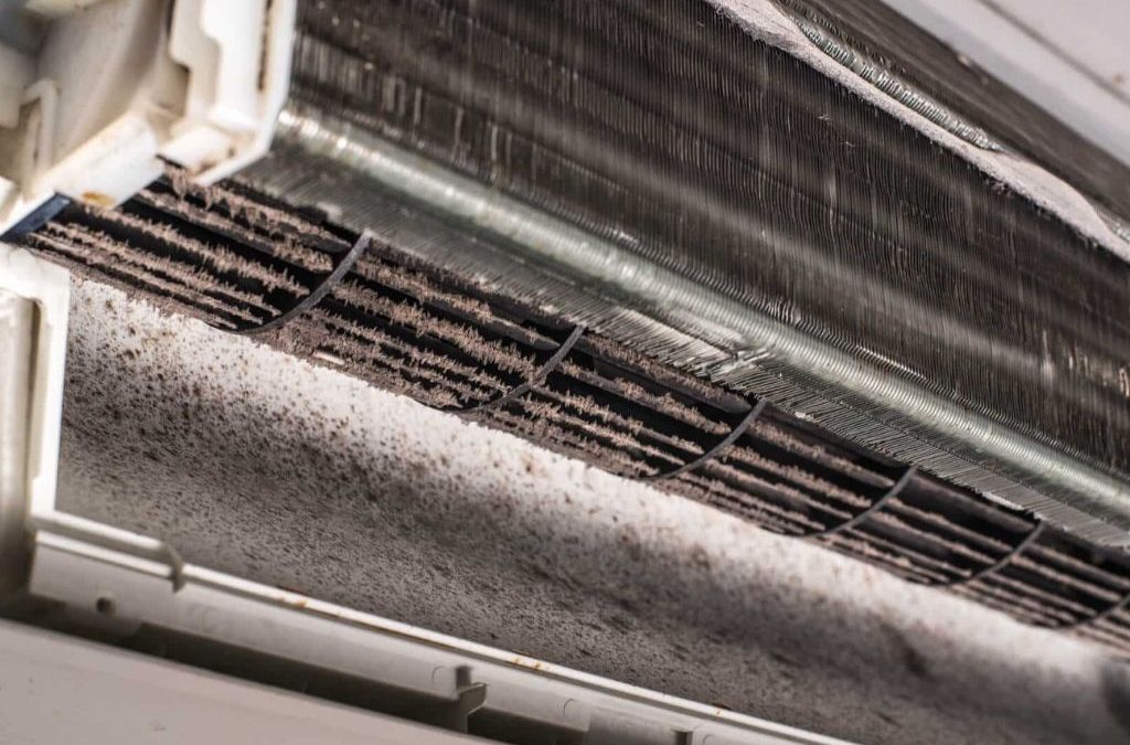 Dangerous Mould can accumulate in your home AC, know how to treat it