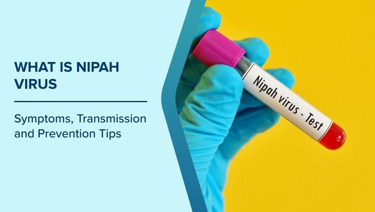 Know about Nipah virus symptoms, risks and how to stay safe from it